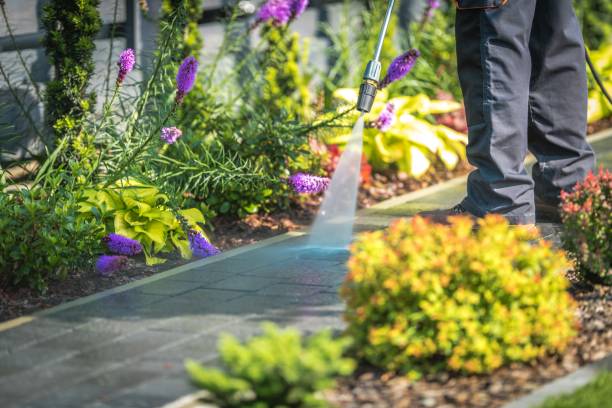Best Driveway Pressure Washing  in Belfast, ME